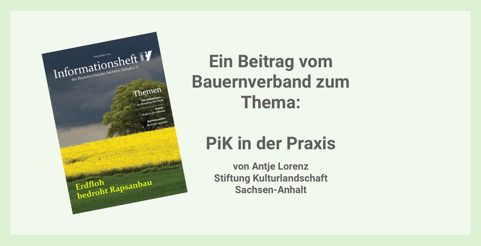 bg_aktuelles_Beitrag_BV_PIK_Antje-Lorenz
