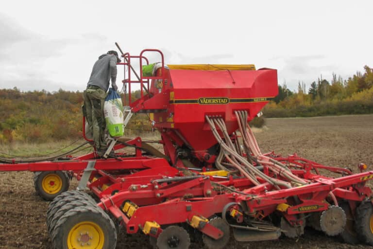 Einsaat in halber Saatstärke, Beladen des Vorratsgefäßes der Sämaschine mit Roggenkörnern, Foto: Heino John