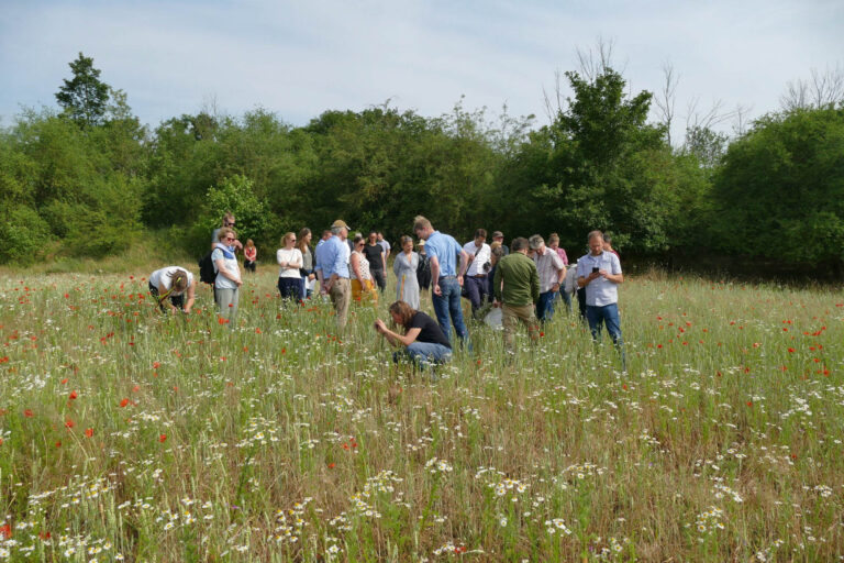 Exkursionsgruppe im Extensivacker am Hohen Wartberg, Foto: Katrin Schneider
