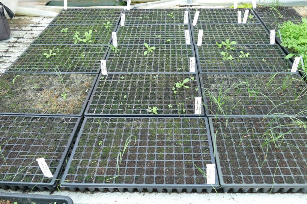 Vermehrungskästen Wild-Land 16.4.2024 Foto: K.Schneider