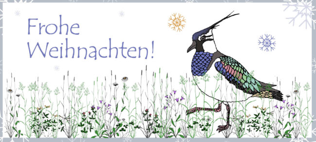 Weihnachtskarte 2024 x