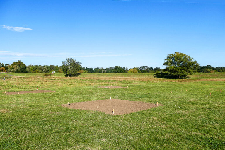 Etablierungsfenster nach Aussaat, Biederitz 30.9.2024, Foto: Katrin Schneider