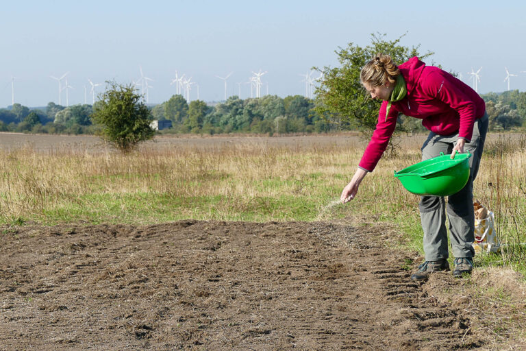 Leonie Clauß bei Aussaat FL1 Wörmlitz, 20.9.2024, Foto: Katrin Schneider
