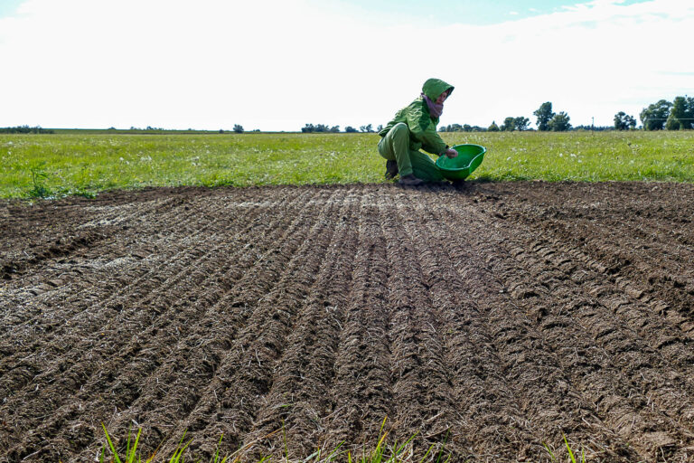 Leonie Clauß bei Aussaat der Saatgutmischung in Biederitz 30.9.2024, Foto: Katrin Schneider