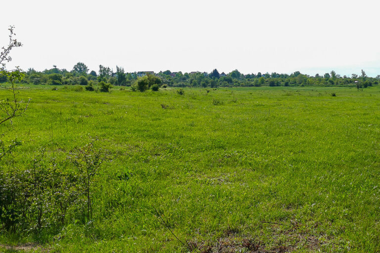 FL 1 Wörmlitz 8.5.2024 , Foto: Katrin Schneider