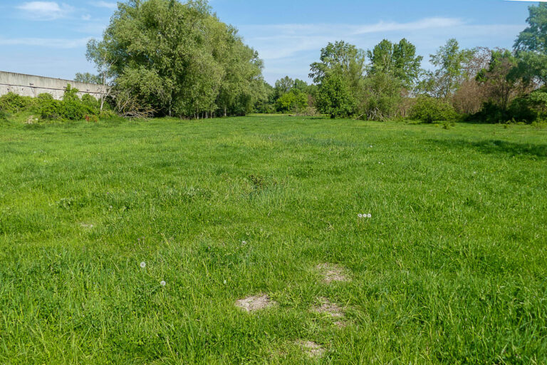 FL 2 in Wörmlitz 8.5.2024, Foto: Katrin Schneider