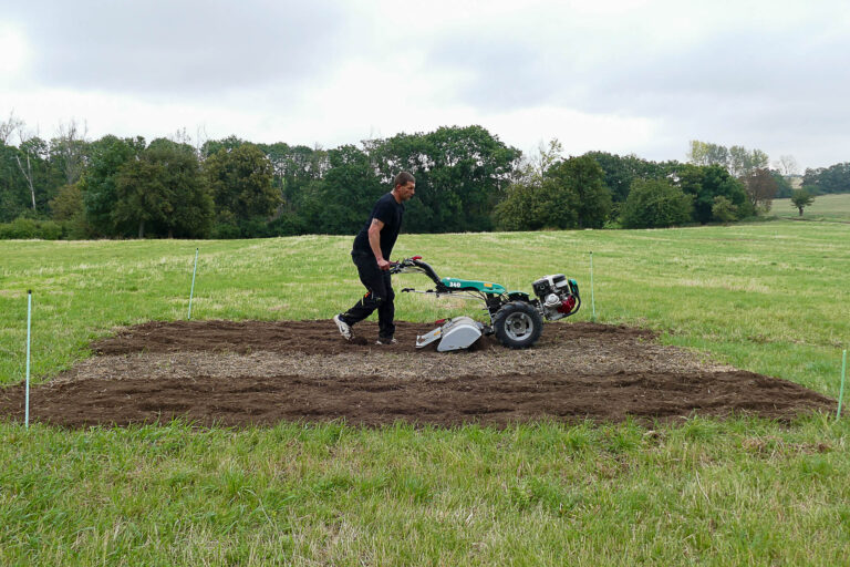 Fräsen der Etablierungsfenster in Cochstedt 17.9.2024 , Foto: Katrin Schneider