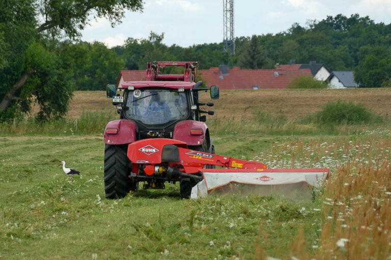 Mahd auf FL3 Biederitz 23.7.2024, Foto: Katrin Schneider