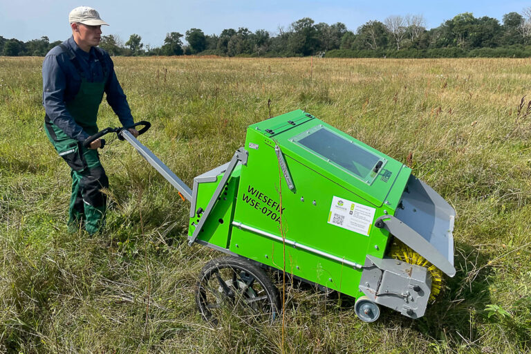 Wiesenbürsten mit Wiesefix auf Spenderfläche bei Buch 19.8.2024, Foto: Leonie Clauss