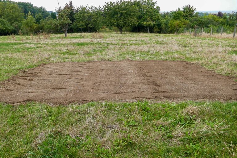 fertig angesätes Etablierungsfenster in Cochstedt 17.9.2024, Foto: Katrin Schneider