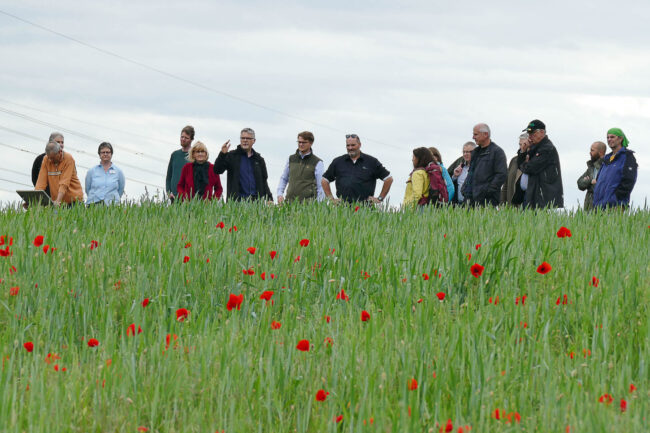 Besichtigung Extensivacker N21 Beiratssitzung 27.5.2025 K. Schneider 959cx-2