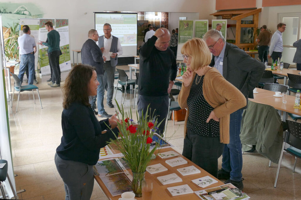 Infostand Ackerwildkrautschutz, Beiratssitzung 27.5.2025, Foto: K. Schneider