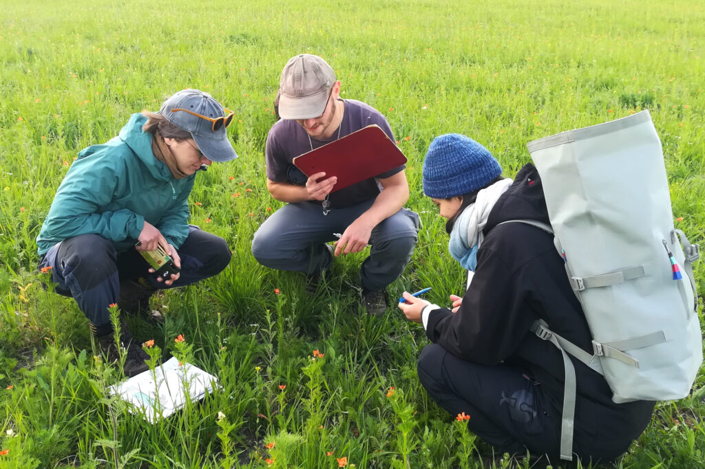 StiftungsmitarbeiterInnen bei der Kartierung der Ackerwildkräuter, 15.5.2025, Foto: Antje Lorenz