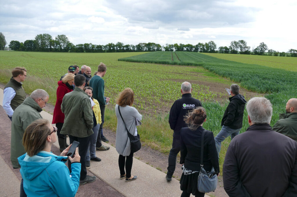 Vorstellung Feldvogelstreifen in Niederndodeleben, Beiratssitzung 27.5.2025, Foto: K. Schneider
