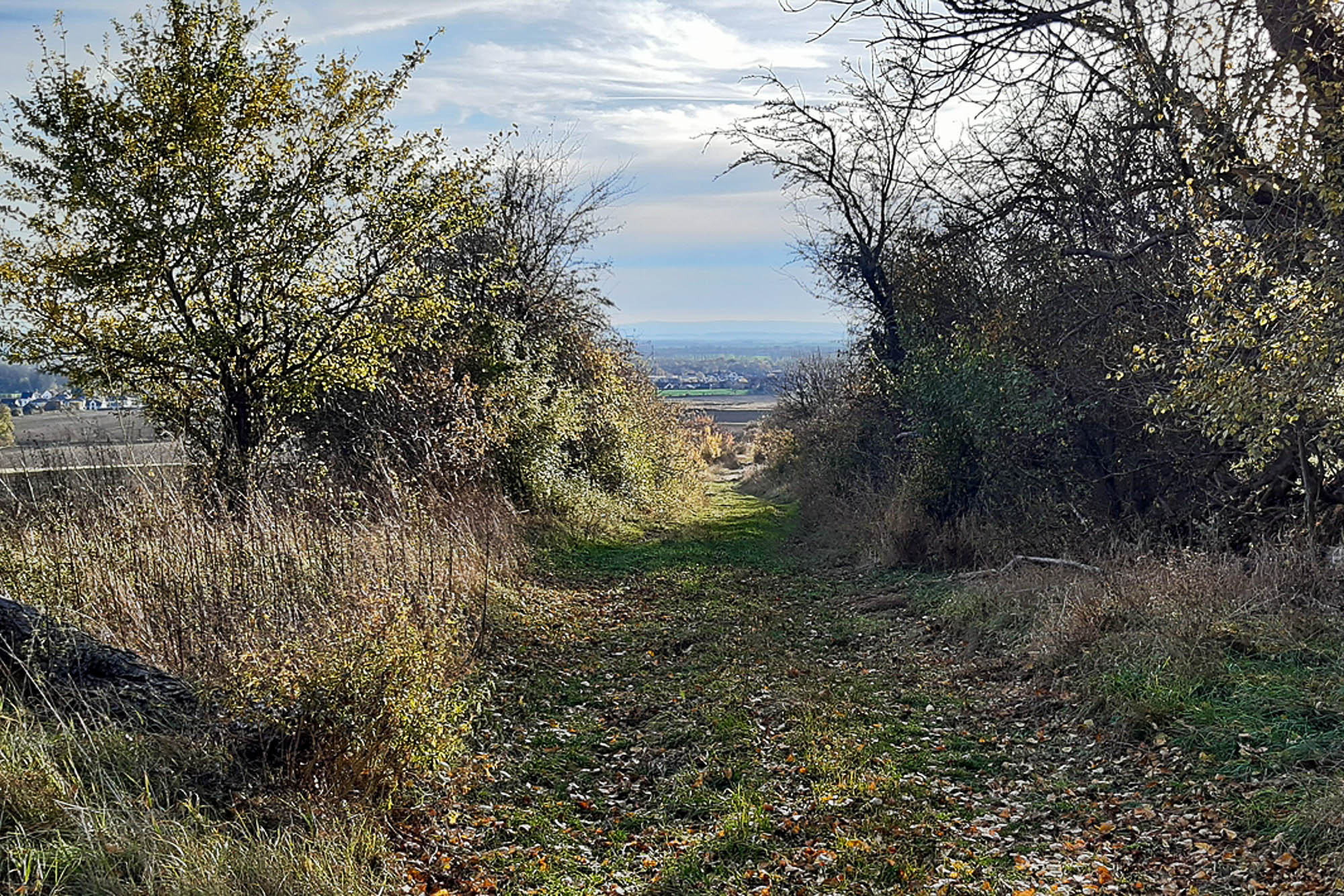 Erstbegehung des Klimaweges, Foto: Antje Birger, 5.11.2025