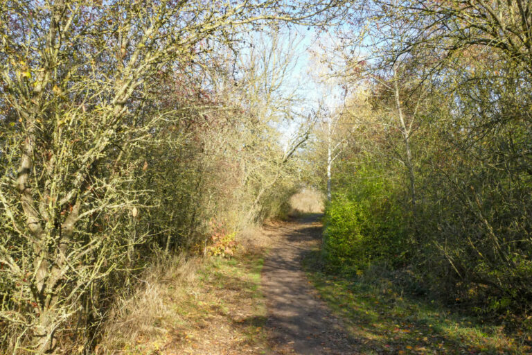 Ein Teil der Wanderstrecke soll als Märchenweg lauschige Plätze bereithalten. Dabei kann an die Tradition des Sagenweges angeknüpft werden.