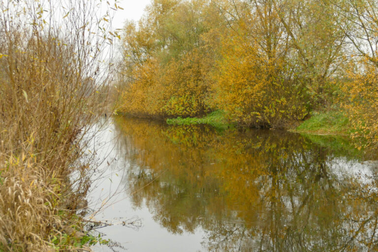 Die Bode ist eine wichtige Lebensader der Stadt Oschersleben. Den Fluss für seine Bewohner erlebbar zu machen, ist eines der Ziele des Projektes.