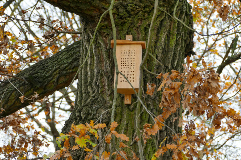 Nisthilfen für Wildbienen