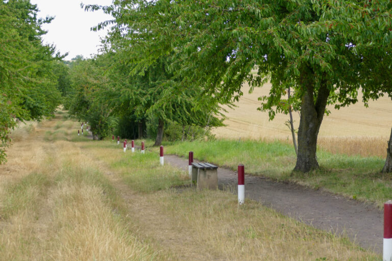 Abfallbehälter entlang des Weges sollen sowohl an bestehenden Sitzgelegenheiten als auch an den neuen Begegnungsstätte eine einfache Antwort auf die Frage - wohin mit dem Müll - geben.