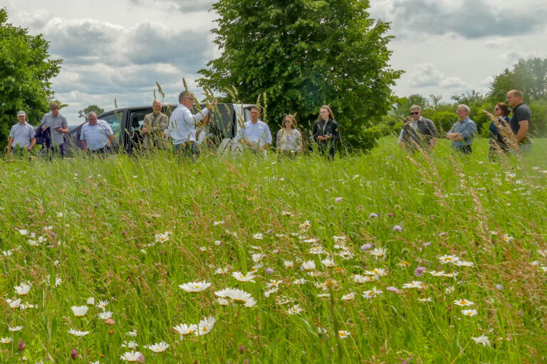 Exkursionsgruppe am Blühstreifen Groß Germersleben 10.6.2026