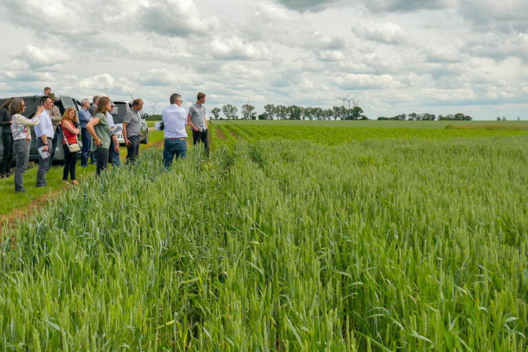 Exkursionsgruppe am Feldvogelstreifen Groß Germersleben 10.6.2026