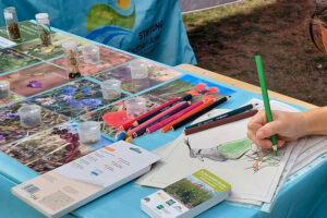Ausmalbilder und Ackerwildkraut-Quiz, Foto: Antje Lorenz
