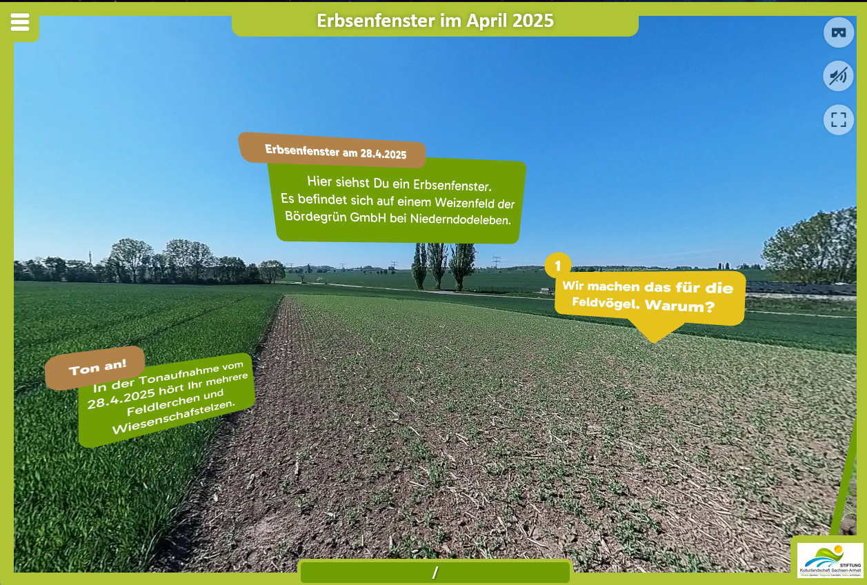 Screenshot Erbsenfenster-Tor